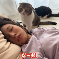 なーお！