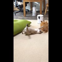 お尻にタッチ