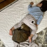 赤ちゃんの足の間で眠る猫