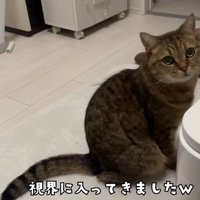 視界に入るみにらくん