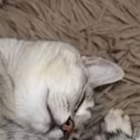 一緒に眠るふたり