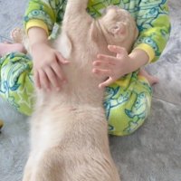 猫を抱きしめる女の子