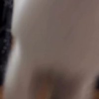 飼い主に飛びかかる子猫