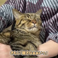 離さなぁぁいっ