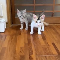 戸の前に立つふたり