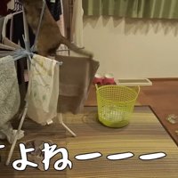 ですよねーーー！！