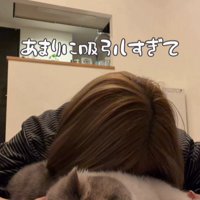 猫吸いをしている飼い主