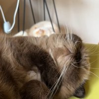顔の少しアップ
