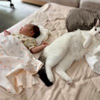 猫と赤ちゃん