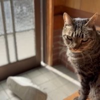 こちらを見る空くん