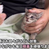 「来た頃は...」のテロップ写真