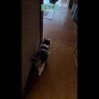 どうぞ