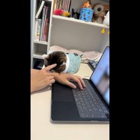 指先で頭にタッチ