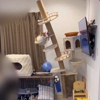 傾いているキャットタワー