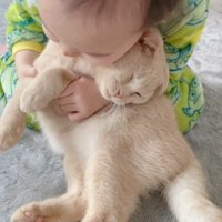 猫を抱きしめる女の子