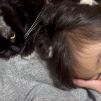 ヨシヨシしている写真