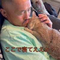 飼い主の上半身の上で伏せをしている猫「ここで寝てええか？」