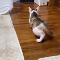 リミちゃんの後ろ姿