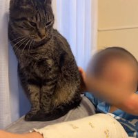なでなで