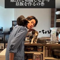 人の肩に乗る猫