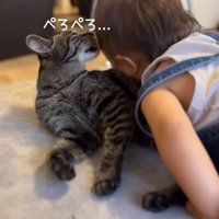 赤ちゃんのことをなめる猫