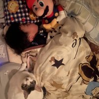 眠る男の子と猫