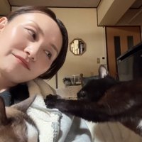 手を伸ばす猫