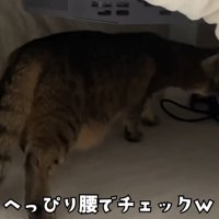 ヘッピリ腰のみにらくん