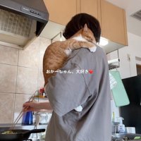 しがみつく猫