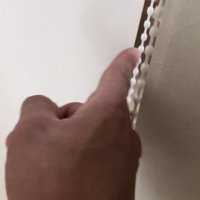 飼い主さんの手