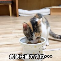 テロップ「食欲旺盛ですね」