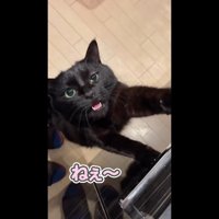 ねぇ〜