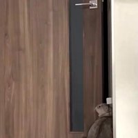 横を向いて辺りを見回す猫