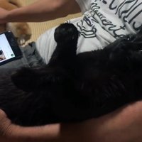 横から