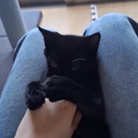 くすぐられるぎんじくん
