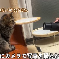 写真を撮られる図