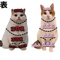 2匹のおさわりMAP