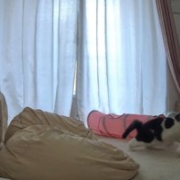 向き合うふたり