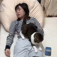 眠っているママの上でくつろいでいる猫