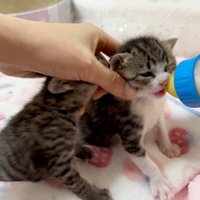 片目を瞑った表情