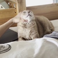 顔を鷲掴み