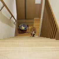 登り始め