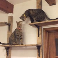 顔を寄せるふたり