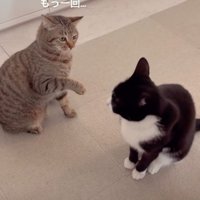 もう一回と書かれた写真