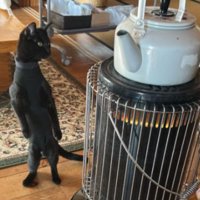 ストーブの前にいる猫