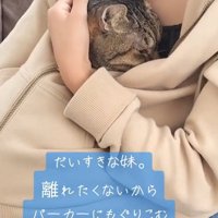 女の子のパーカーの中に入っている猫