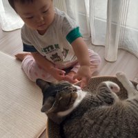 猫の鼻を触る赤ちゃん