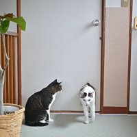 小窓をくぐって