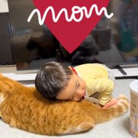 猫をほおずりする男の子