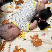 一緒に眠る赤ちゃんと子猫